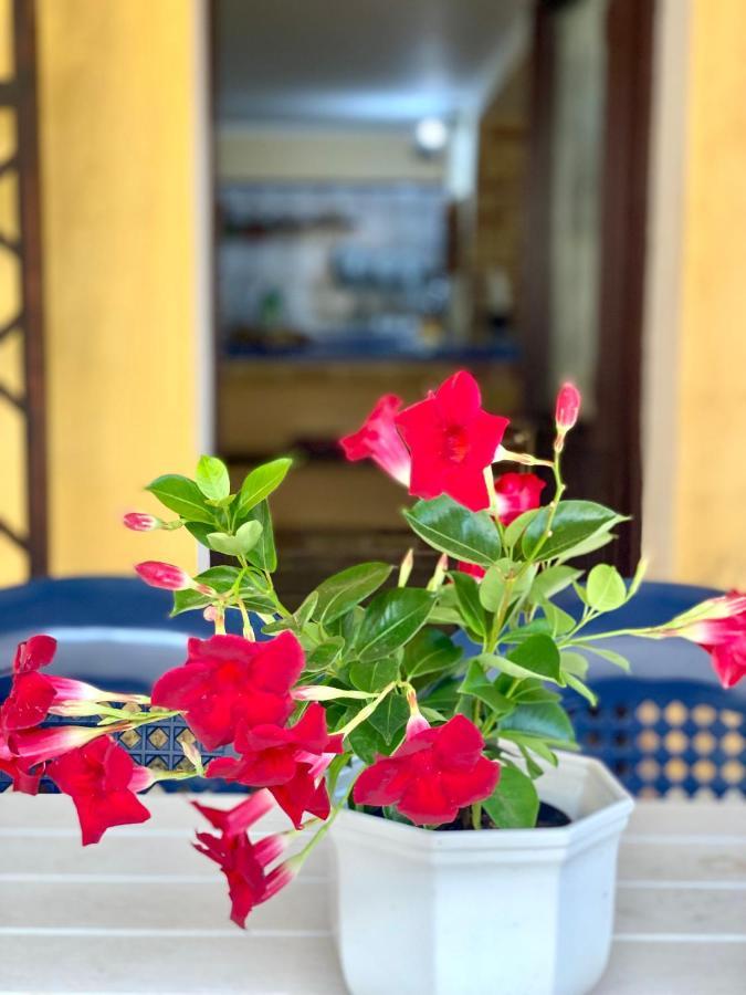 La Casa Dei Bouganville - Lo Stagnone Isole Egadi Marsala Dış mekan fotoğraf